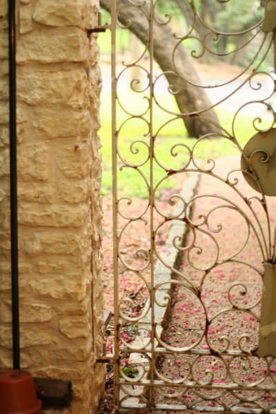 Photo :: Kate Stafford